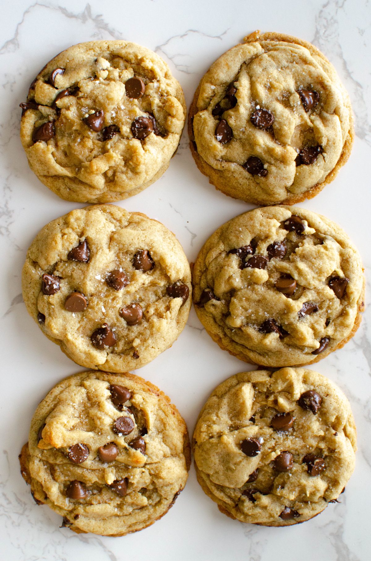 Salted Malted Chocolate Chip Cookies